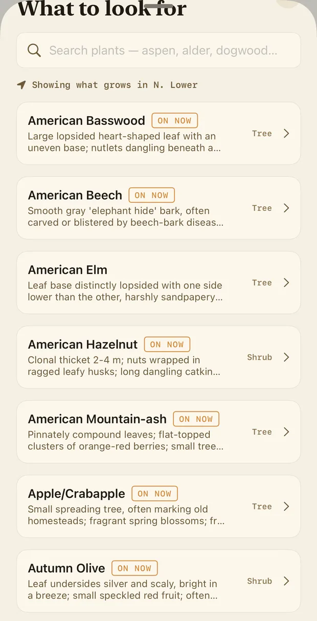 What to look for: a searchable plant list showing what grows in the northern Lower Peninsula, each marked ON NOW where it is: American basswood, American beech, American elm, American hazelnut, American mountain-ash, apple and crabapple, autumn olive.