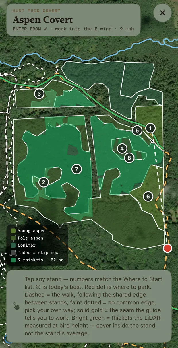Hunt this covert: eight numbered stands over satellite imagery in shades of green, enter from the west into the east wind, a red dot where to park, and the dashed walking line.