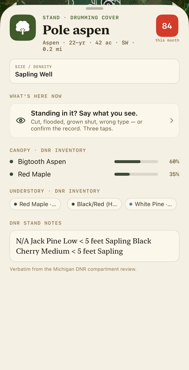 A stand sheet: Pole aspen, drumming cover, 22 years, 42 acres, SW 0.2 miles, scored 84 this month. Size and density: sapling, well stocked. Canopy from the DNR inventory: bigtooth aspen 60 percent, red maple 35 percent. Understory: red maple, black and red oak, white pine. DNR stand notes verbatim from the Michigan compartment review.